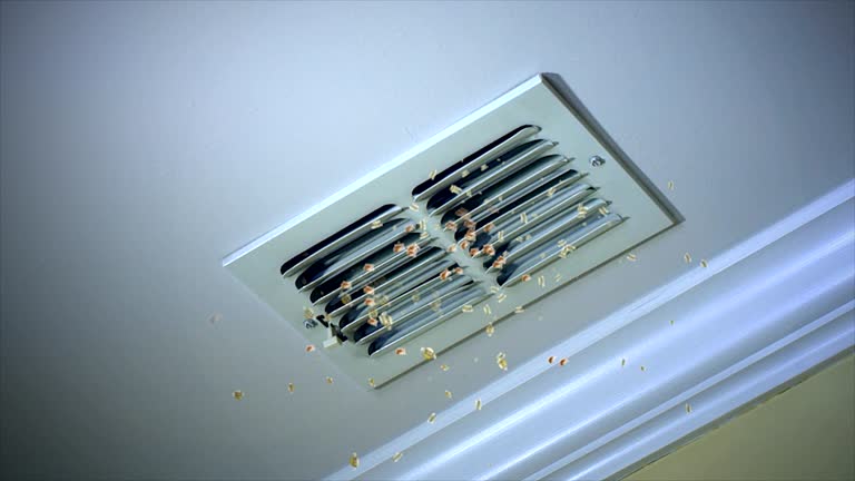 Best Air Duct Cleaning Near Me  in Imperial, NE